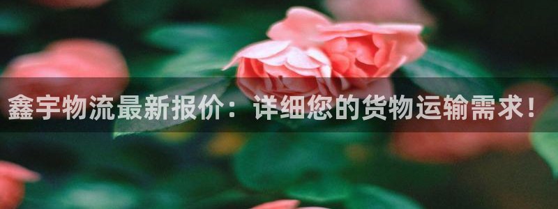 ,优游国际p图上分下款通道：鑫宇物流