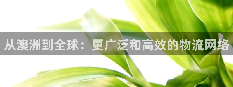 优游国际官网下载多少钱一个：从澳洲到