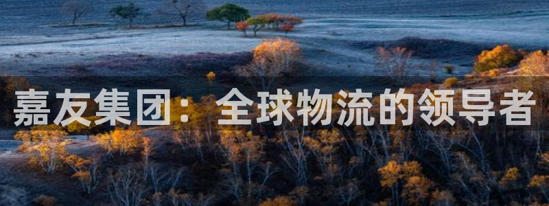 ,优游国际预测:嘉友集团:全球物流的