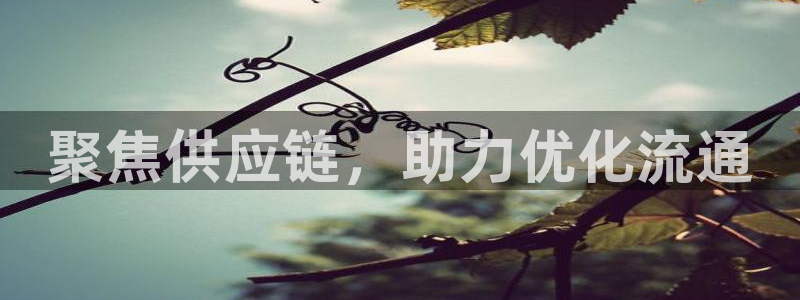 ,优游国际v6能卖多少：聚焦供应链，