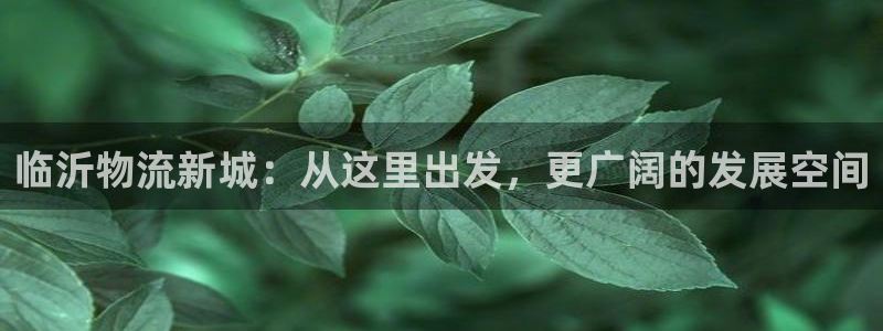 ,优游国际链接：临沂物流新城：从这里