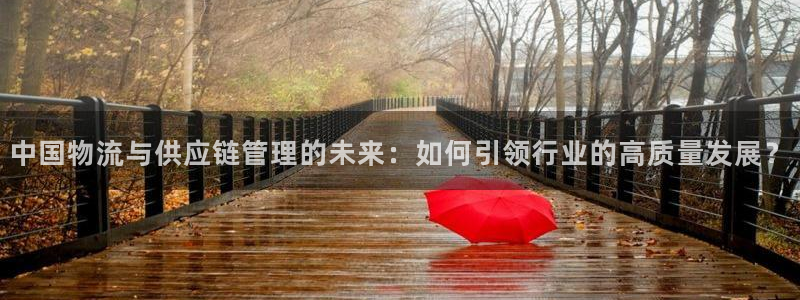 ,优游国际加拿大28：中国物流与供应