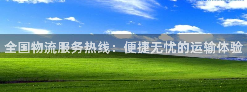 优游国际官网入口pc预测：全国物流服