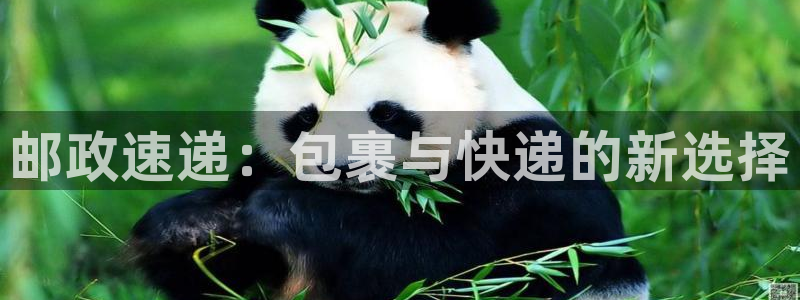 ,优游国际注册送：邮政速递：包裹与快