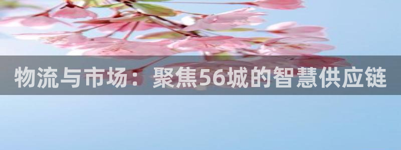 ,优游国际怎么注册游戏名字：物流与市场：聚焦56城的智慧供应