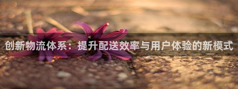 ,优游国际注册登录：创新物流体系：提