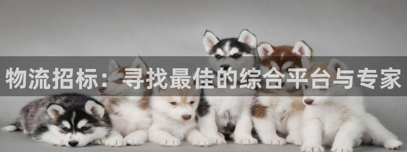 pc,优游国际怎么注册：物流招标：寻