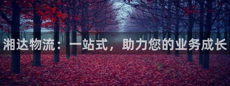 ,优游国际预测：湘达物流：一站式，助