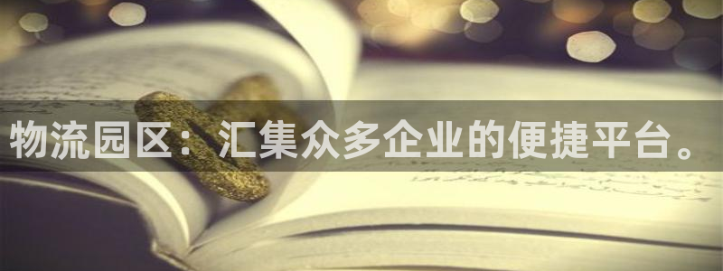 ,优游国际游戏：物流园区：汇集众多企