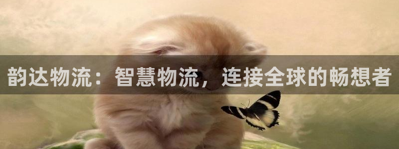 ,优游国际稳吗：韵达物流：智慧物流，