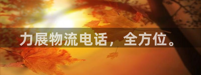 ,优游国际怎么注册下载:力展物流电话