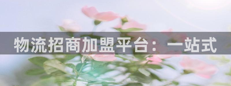 ,优游国际ip被限制怎么解决：物流招