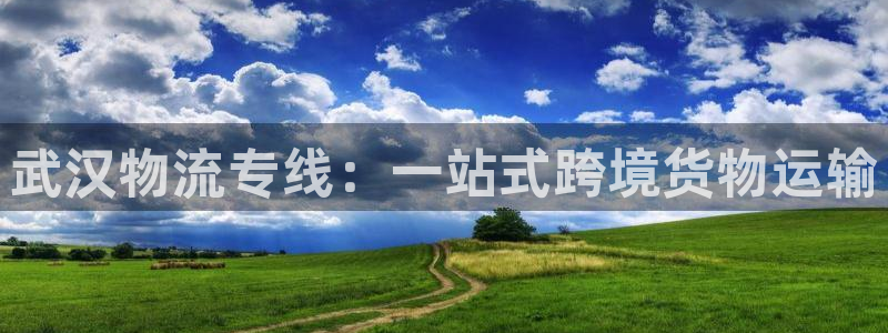 ,优游国际加拿大最新版：武汉物流专线