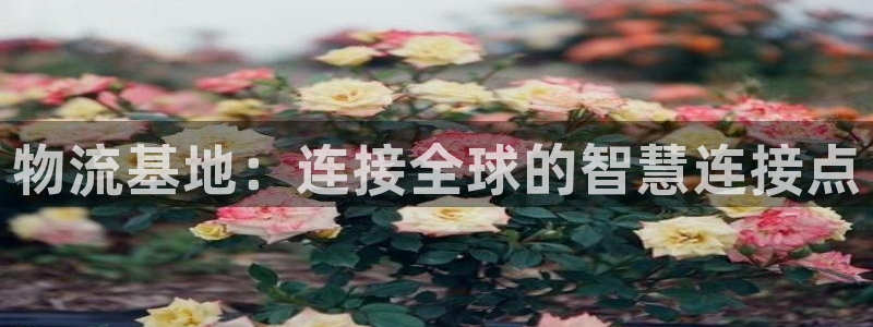 ,优游国际官网版下载：物流基地：连接