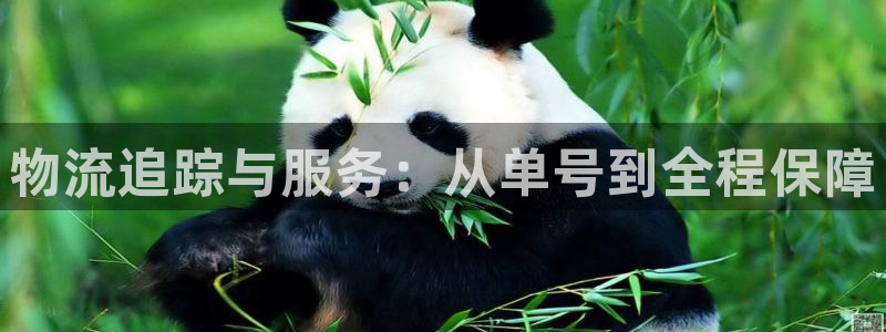 ,优游国际黑钱:物流追踪与服务:从单