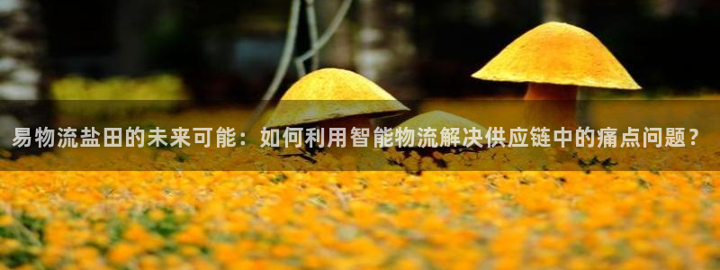 ,优游国际犯法吗:易物流盐田的未来可