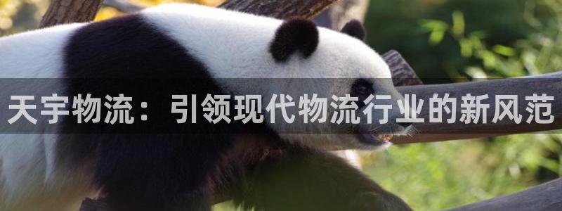 ,优游国际p扣款什么意思:天宇物流: