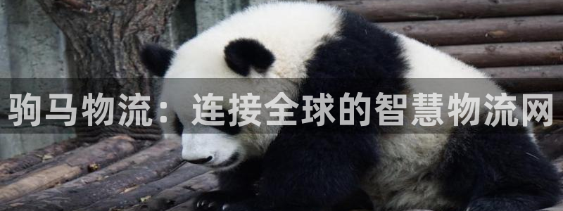 ,优游国际激活码:驹马物流:连接全球
